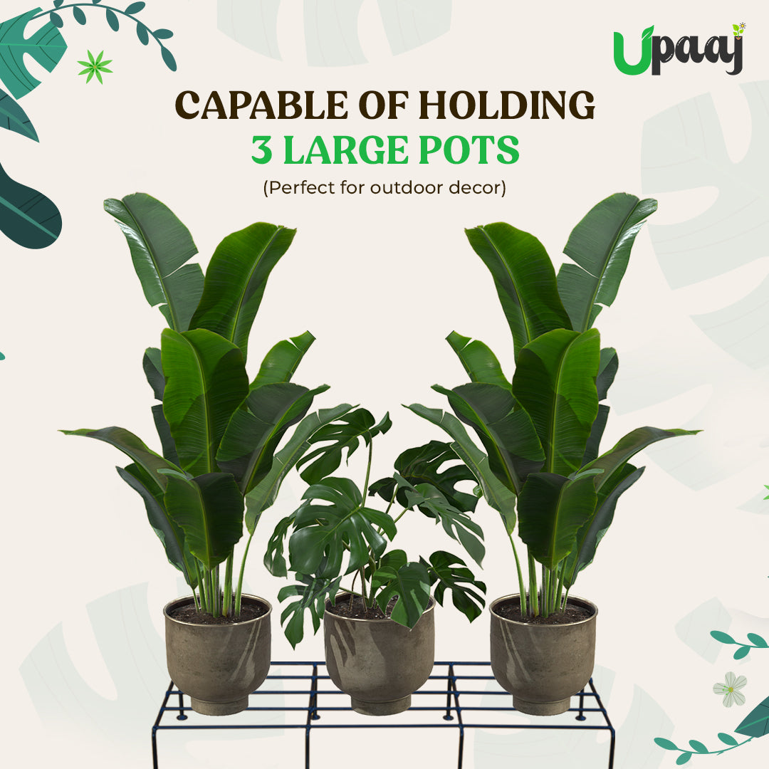 three large pots on upaaj planter stands