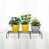 Pack of planter stand with plant pots