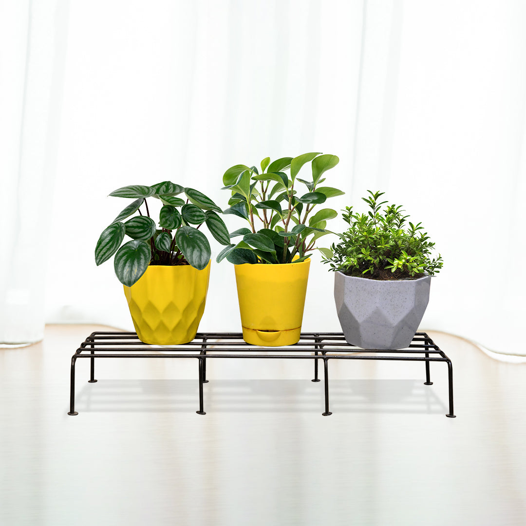 Anti rust metal planter stand with pots