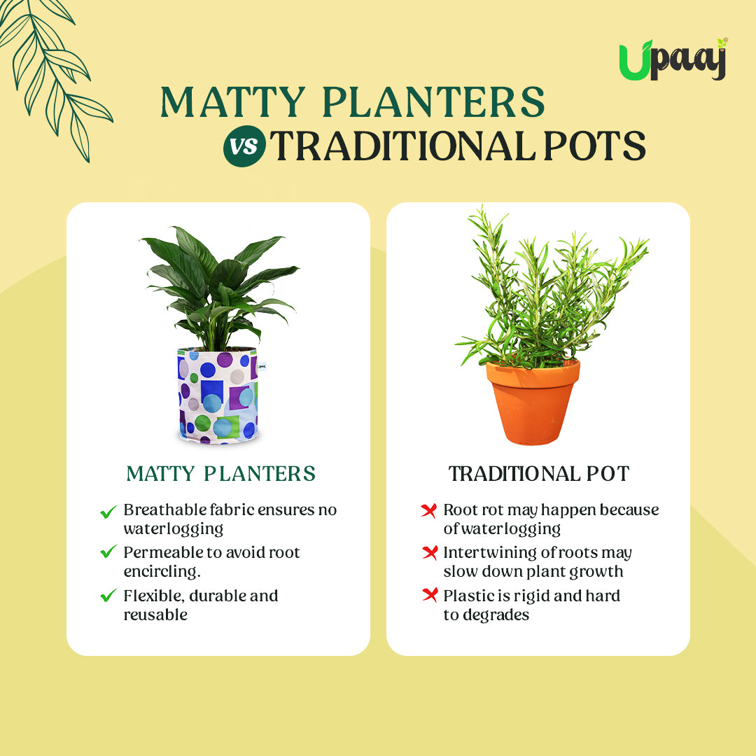 designer growbag vs traditional plant pot