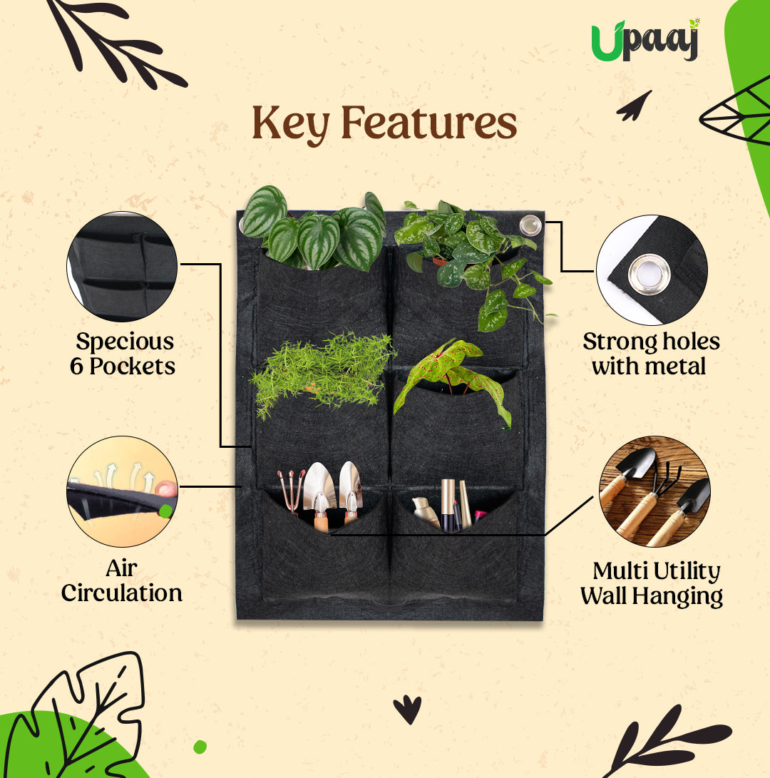 Key features of hanging grow bag