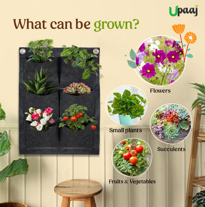 What can be grown in six pocket grow bag