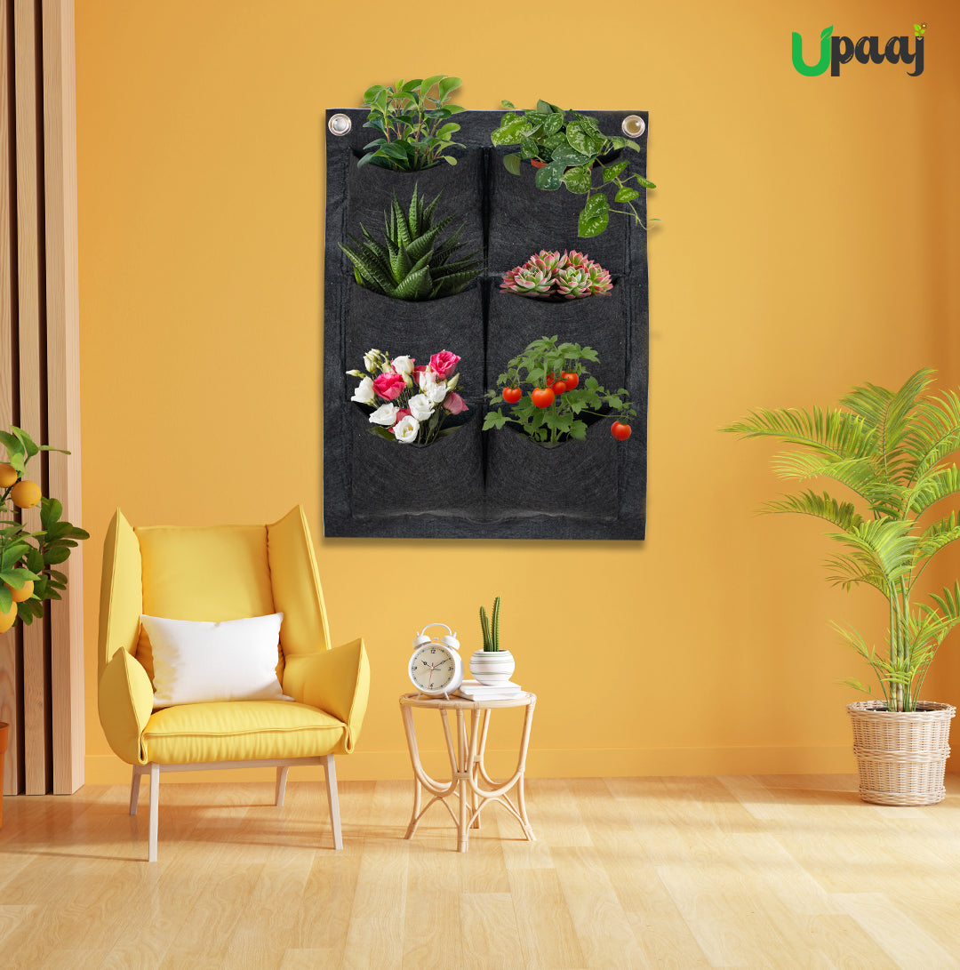 Vertical gardening bag in living room 