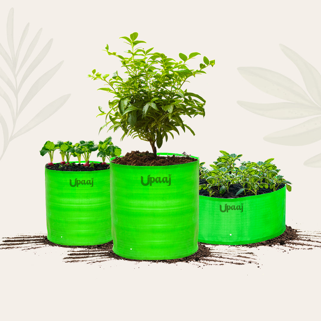 HDPE grow bag circular deep and shallow with plant, plant bag for home garden